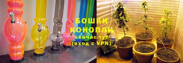 ALPHA PVP Белокуриха