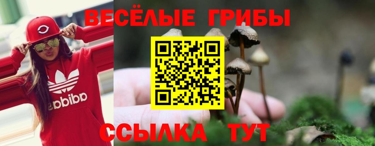 купить закладку  Галлюциногенные грибы ЛСД  Вход с VPN  Пятигорск  Галлюциногенные грибы ЛСД 